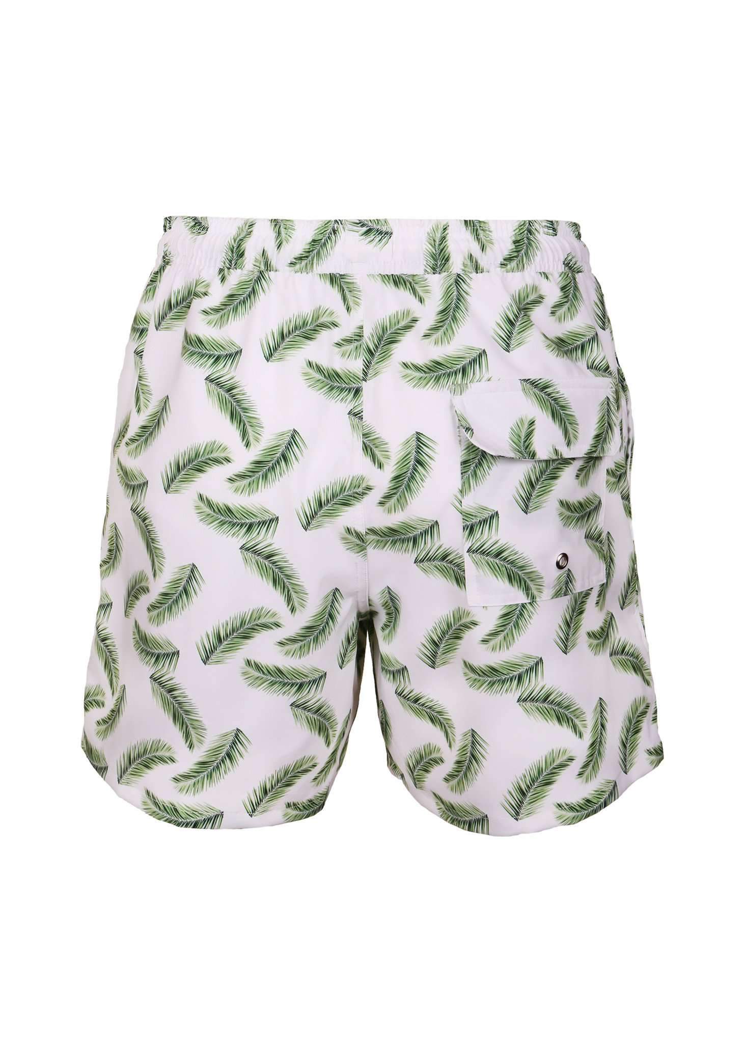 Palm